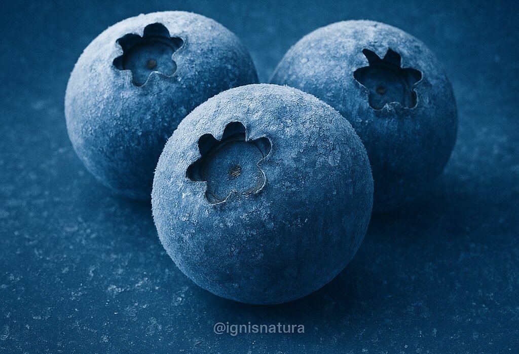 93e70bec e46c 4075 8e59 646f8d120af9